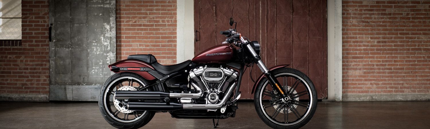 2022 Harley-Davidson® for sale in Wild Fire Harley-Davidson®, Villa Park, Illinois